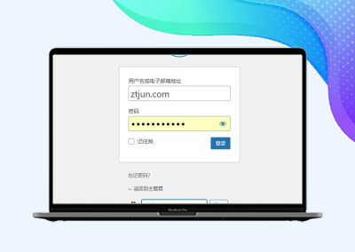 WordPress5.9版本移除登录页面语言选择器
