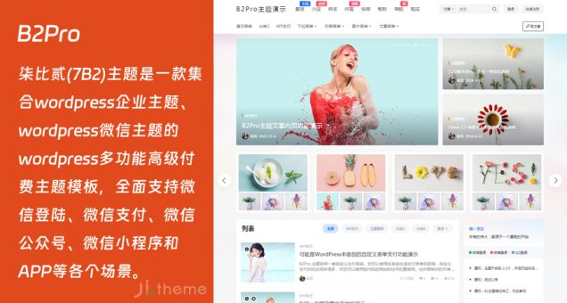 WordPress轻社交购物主题:B2Pro