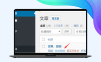 WordPress如何设置文章置顶