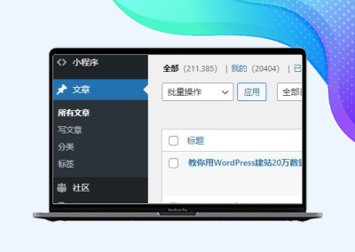 使用WordPress建站20万数据不卡的方法